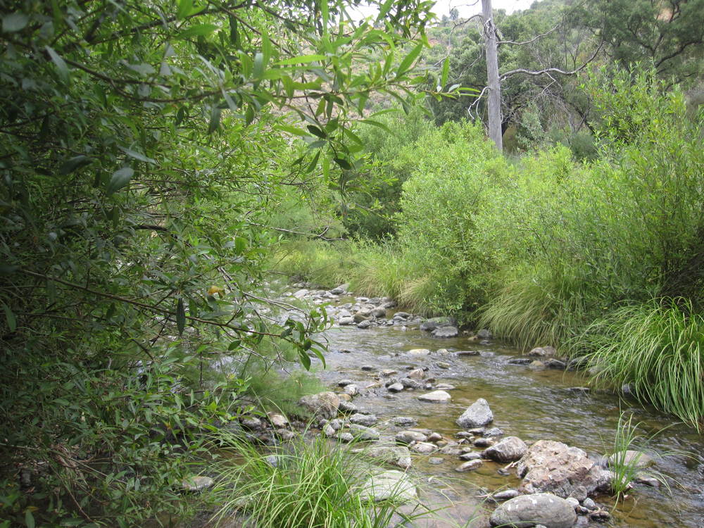 The River Ojén<br /><a href=photo22.kml>See on Google Earth</a><br /><br />