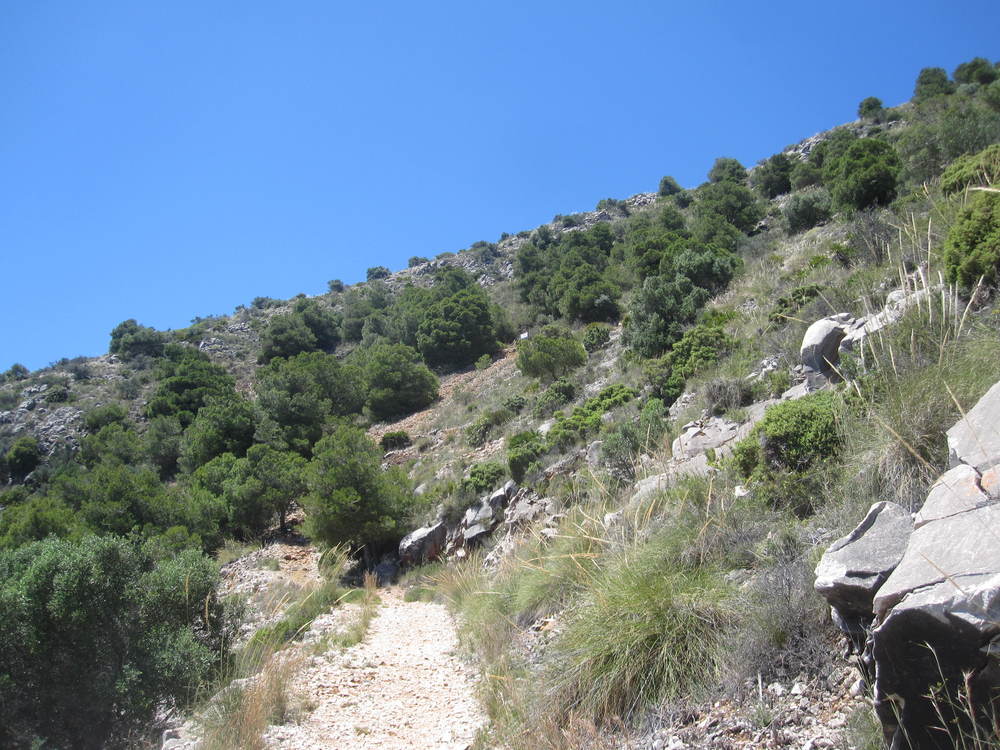 The white dot in the centre is where the mine is<br /><a href="photo11.kml">See on Google Earth</a><br /><br />