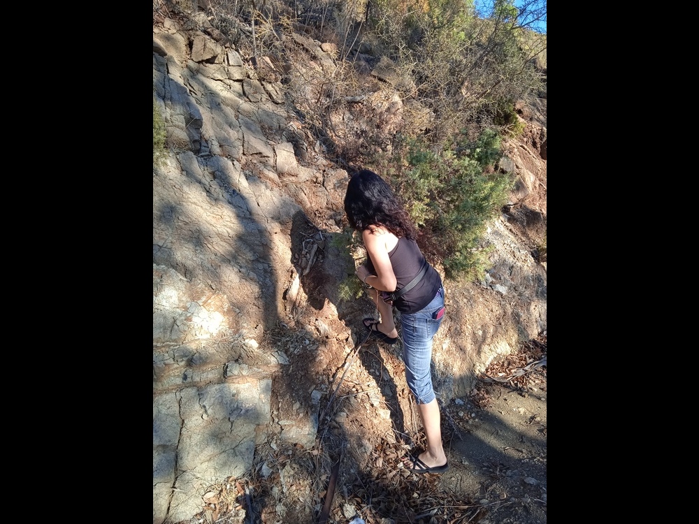 <br /><a href=photo05.kml>See on Google Earth</a><br /><br />