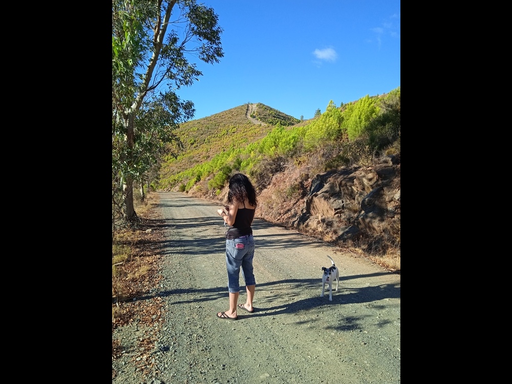 <br /><a href=photo08.kml>See on Google Earth</a><br /><br />