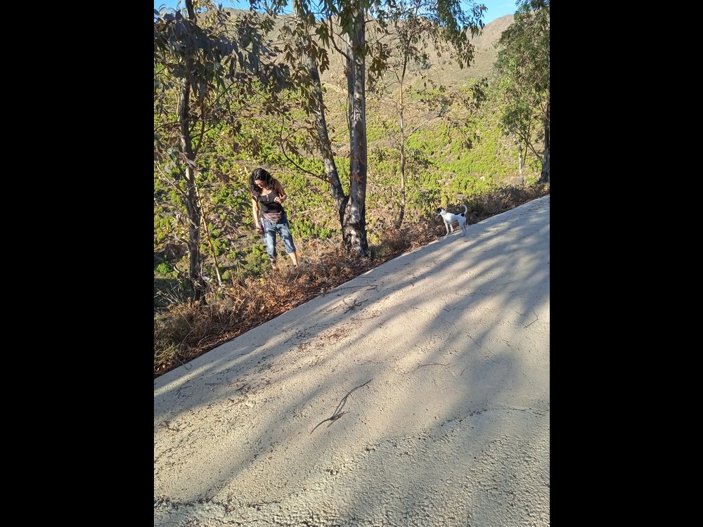 <br /><a href=photo13.kml>See on Google Earth</a><br /><br />