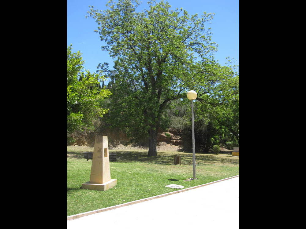 Another view of the tree and the memorial<br /><a href="photo10.kml">See on Google Earth</a><br /><br />